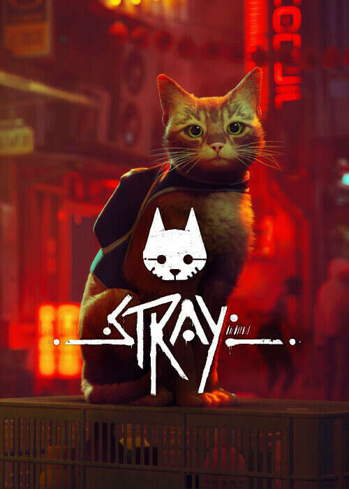 Купить Stray