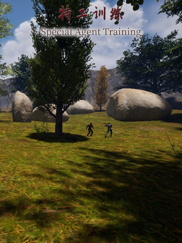 Купить Special Agent Training