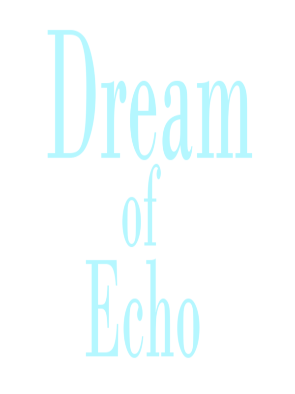 Купить Dream of Echo